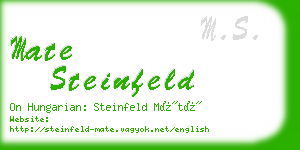 mate steinfeld business card